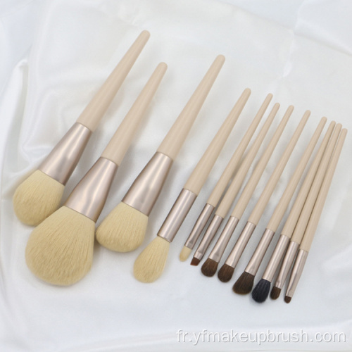 Set de pinceau de maquillage pour cheveux de chèvre personnalisé